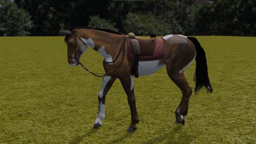 Horse Rigged All Gaits preview image